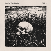 Lost In The Weeds Vol. 1