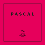 Pascal: Fuck Like A Beast