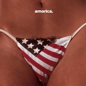 Album cover for Amorica., by The Black Crowes