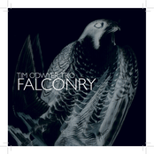 Falconry