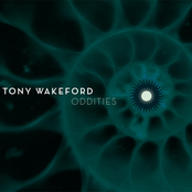 For Never I by Tony Wakeford