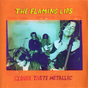 They Punctured My Yolk by The Flaming Lips