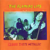 This Here Giraffe by The Flaming Lips