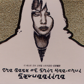 The Best of Shin Hae-Chul / Struggling