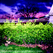 Captain Wild Horse Rides The Heart Of Tomorrow