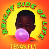 Bright Side Of Life by Tenor Fly