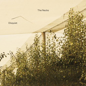 The Necks: Disquiet