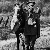 The Kids Are The Future, The Future Is Crul