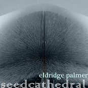 seed cathedral