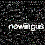 nowingus