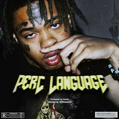 Perc Language - Single