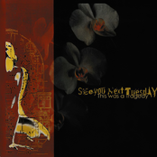 See You Next Tuesday: This Was A Tragedy