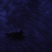 the silence between waves