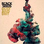 The Black Seeds: Dust and Dirt