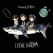 Leche entera