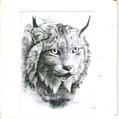 The Lynx