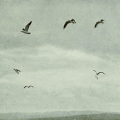 Before, After, Oblivion