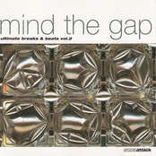 Mind The Gap - Ultimate Breaks & Beats Vol. 2