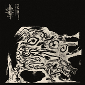 Deliriant Passages Of Marginata