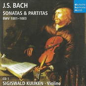 Bach, J.S.: Sonatas & Partitas BWV 1001 - 1006