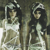 Orkus Compilation 53