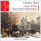 Organ Works 1