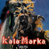 De Los Andes Al Amazonas