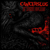 Love Songs From The Grave by Cancerslug