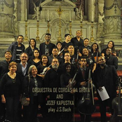 Jozef Kapustka and Orquestra de Cordas da Grota (Rio de Janeiro) play Bach