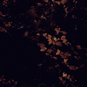 Unnamed Road (DEMO IV: Autumn Drafts)