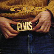 elvis belt / elvis handbag