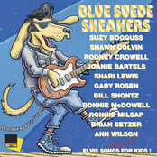 Blue Suede Shoes by Ronnie Mcdowell