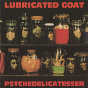Spoil The Atmosphere by Lubricated Goat