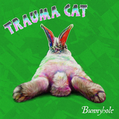 Trauma Cat: Bunnyhole