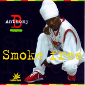 Smoke Free by Anthony B