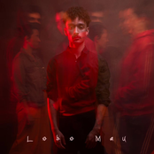 Lobo Mau