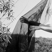 Won't Stop Loving You