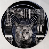 Pussy Kingdom (The Remixes)
