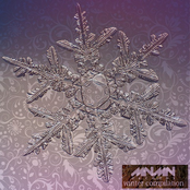 Winter Compilation. MNMN Records