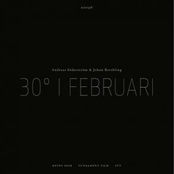 30 Grader I Februari
