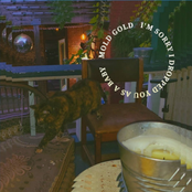 I’m Sorry I Dropped You As A Baby