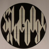 Locusts & Lions / Brave