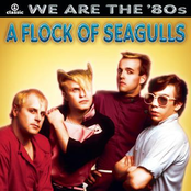 A Flock of Seagulls: We Are The '80s