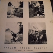 V.A.-Random Radar Records (A Random Sampler)