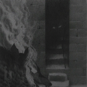 COLTSBLOOD/CRYPT LURKER SPLIT