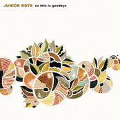 Junior Boys: So This Is Goodbye