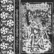 S.T.D. (Suffering Through Destruction)