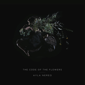 Ayla Nereo: The Code of the Flowers