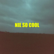 Nie So Cool