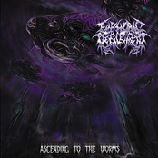 Ascending to the Worms